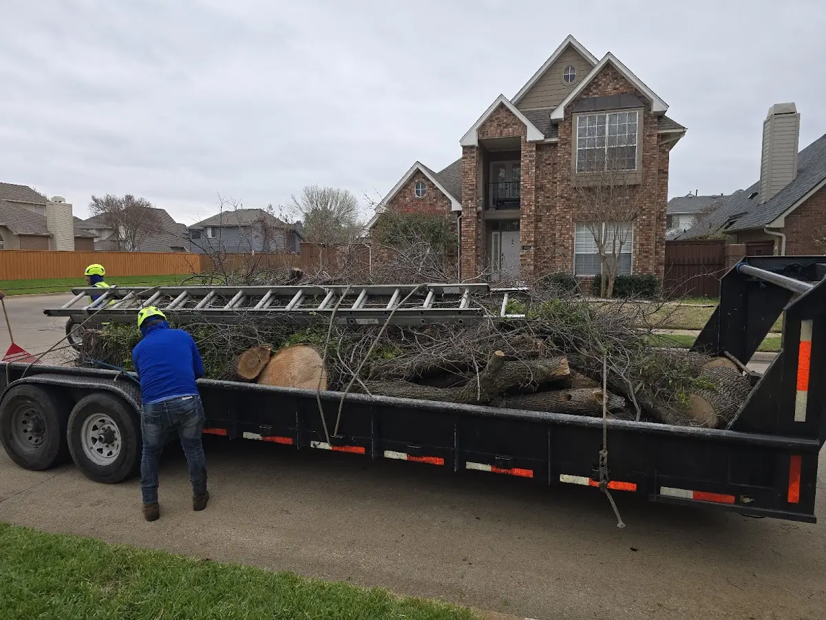 Expert Lot Clearing with proper safety equipment in Tryon
